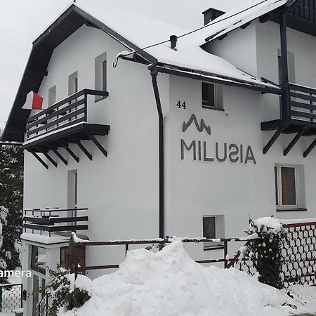 Milusia Muszyna酒店 外观 照片